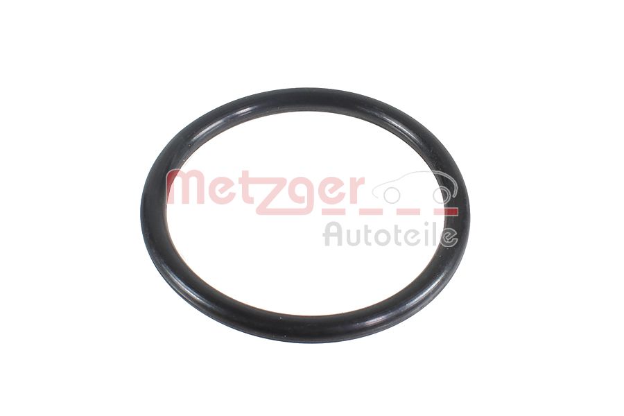 Seal Ring - 2430113 METZGER
