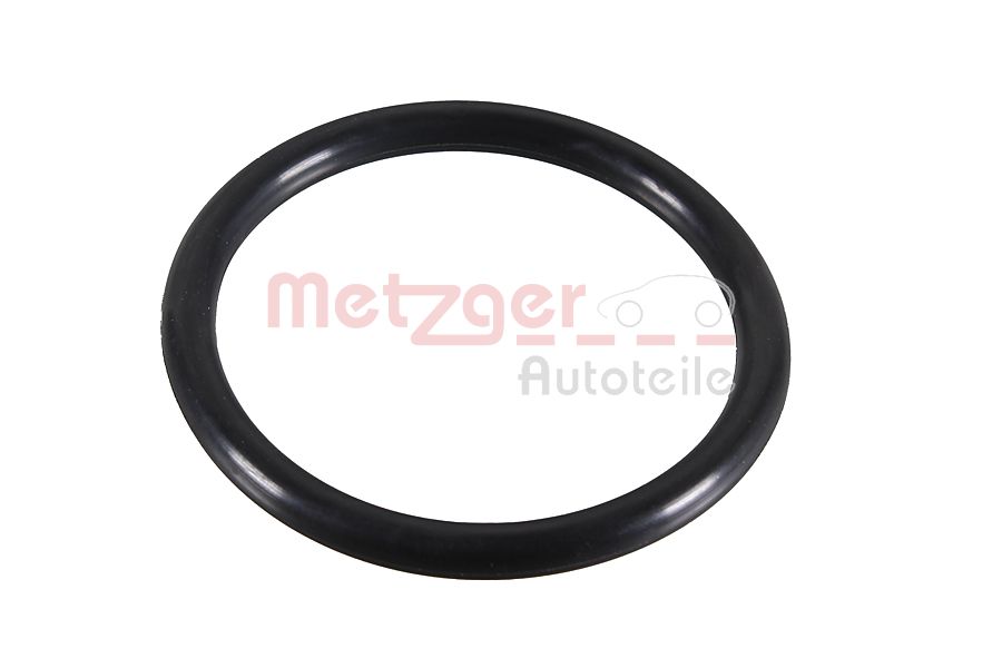 Seal Ring - 2430119 METZGER