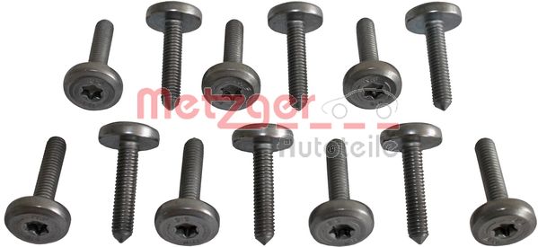 Varžtų rinkinys, automatinės pavarų dėžės tepalų vonelė - 8029025 METZGER