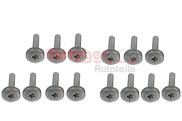 Varžtų rinkinys, automatinės pavarų dėžės tepalų vonelė - 8029029 METZGER