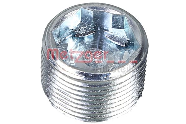 Screw Plug, transmission housing - 8030064 METZGER
