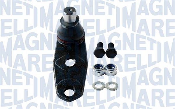 Fastening Bolts, control arm - 301191619570 MAGNETI MARELLI