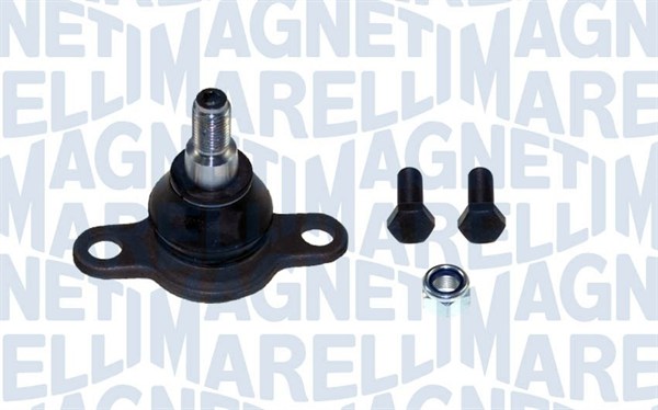 Fastening Bolts, control arm - 301191619820 MAGNETI MARELLI