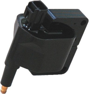 Ignition Coil - 060717079012 MAGNETI MARELLI
