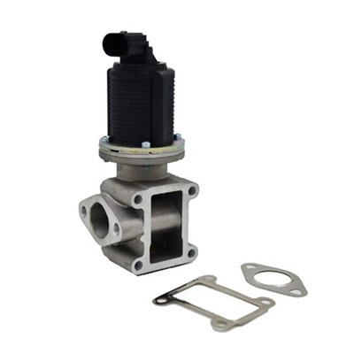 EGR Valve - 571822112005 MAGNETI MARELLI