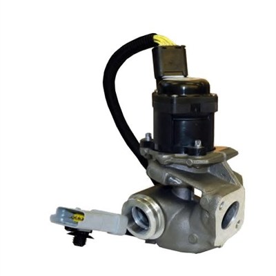 EGR Valve - 571822112031 MAGNETI MARELLI