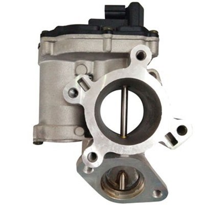EGR Valve - 571822112128 MAGNETI MARELLI