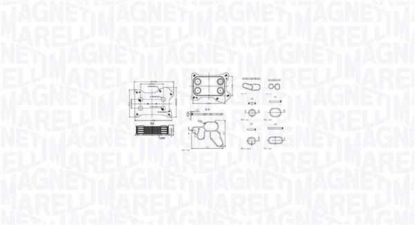 Oil Cooler, engine oil - 350300001300 MAGNETI MARELLI