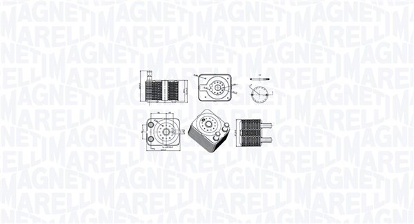 Oil Cooler, engine oil - 350300003100 MAGNETI MARELLI