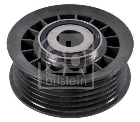 Galoppino/Guidacinghia, Cinghia Poly-V - 05478 FEBI BILSTEIN