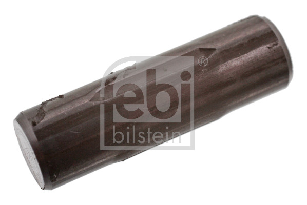 Spina reggimolla, Ganasciafreno - 06424 FEBI BILSTEIN