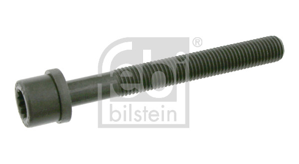 cilindro galvutės varžtas - 06666 FEBI BILSTEIN