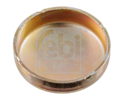 užšalęs kaištis - 07294 FEBI BILSTEIN