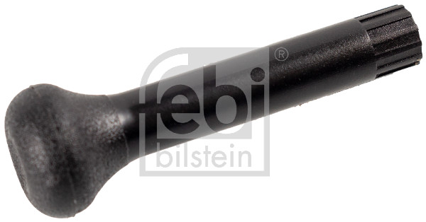 Pulsante bloccaggio - 10029 FEBI BILSTEIN