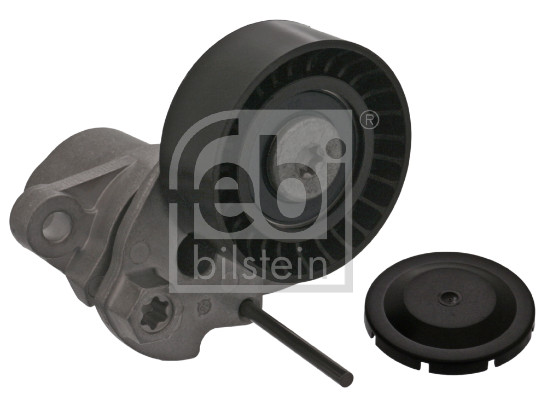 Tendicinghia, Cinghia Poly-V - 100740 FEBI BILSTEIN