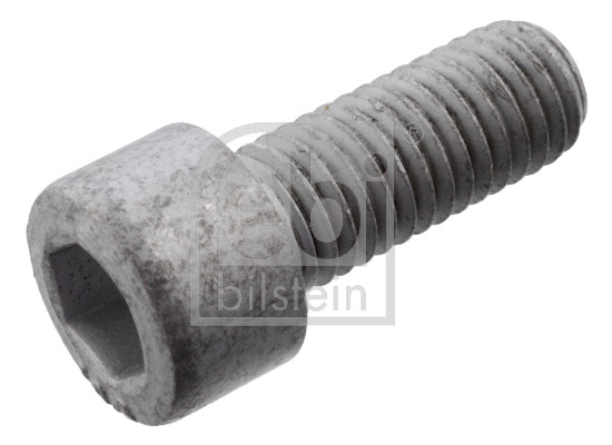 Bullone dell'asse, Semiasse - 101234 FEBI BILSTEIN