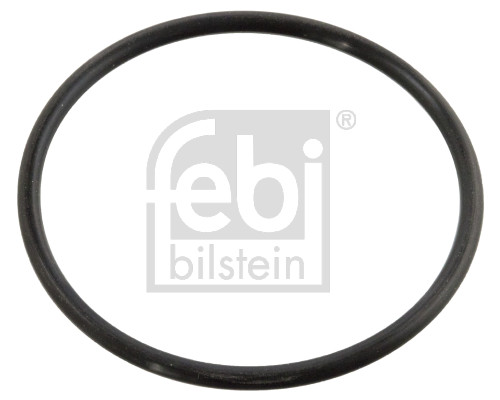 Прокладка, термостат - 10258 FEBI BILSTEIN