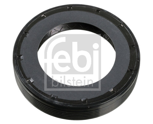 Anello tenuta, Differenziale - 11412 FEBI BILSTEIN