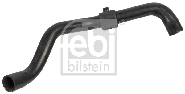 Flessibile radiatore - 170980 FEBI BILSTEIN