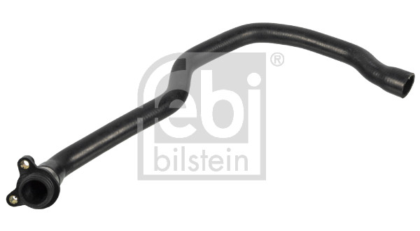 Flessibile radiatore - 171106 FEBI BILSTEIN