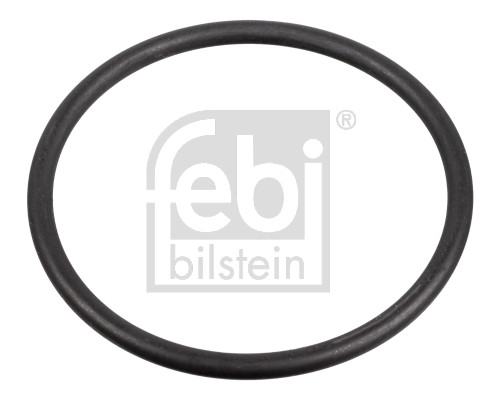 Gasket, fuel pump - 172666 FEBI BILSTEIN