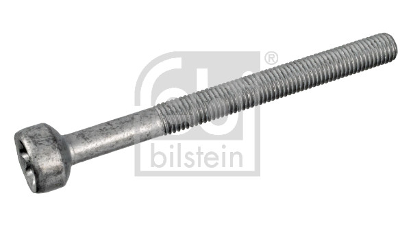Bullone, Supporto iniettore - 172930 FEBI BILSTEIN
