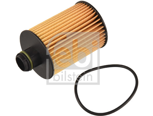 Filtro olio - 173018 FEBI BILSTEIN
