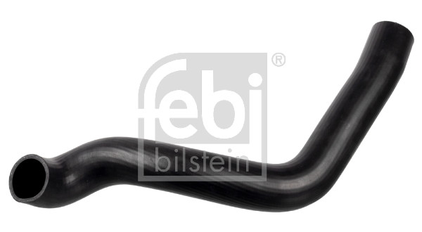 Flessibile radiatore - 174432 FEBI BILSTEIN