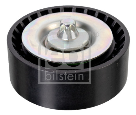 Galoppino/Guidacinghia, Cinghia Poly-V - 174516 FEBI BILSTEIN