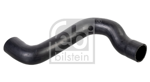 Flessibile radiatore - 174520 FEBI BILSTEIN