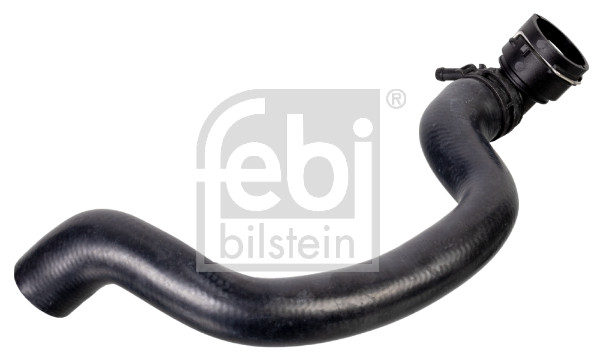 Flessibile radiatore - 175566 FEBI BILSTEIN