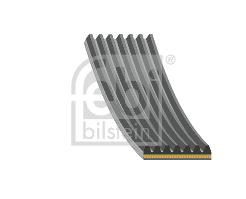Cinghia Poly-V - 176365 FEBI BILSTEIN