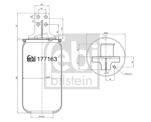 Soffietto, Sospensione pneumatica - 177163 FEBI BILSTEIN