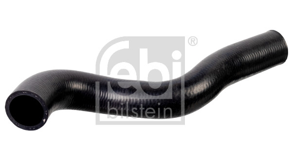 Flessibile radiatore - 178470 FEBI BILSTEIN