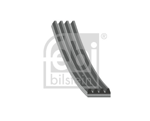 Cinghia Poly-V - 178936 FEBI BILSTEIN