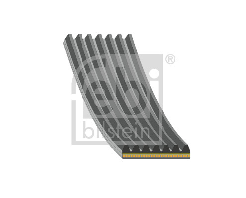 Cinghia Poly-V - 181285 FEBI BILSTEIN