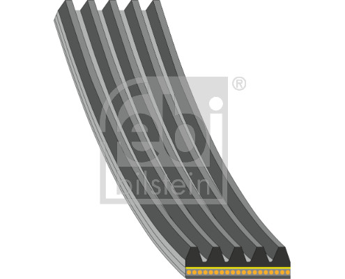 V-Ribbed Belt - 181286 FEBI BILSTEIN