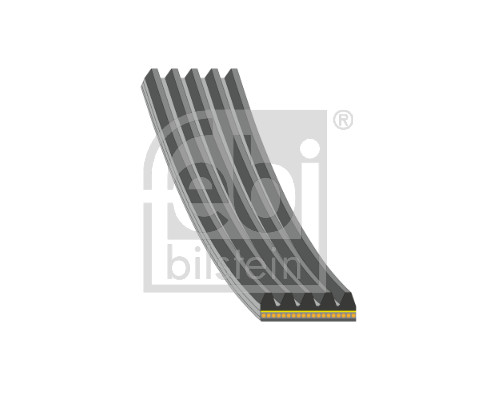 Cinghia Poly-V - 183324 FEBI BILSTEIN