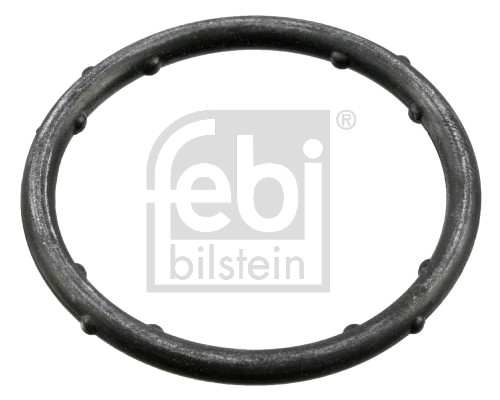 Gasket, coolant flange - 18766 FEBI BILSTEIN