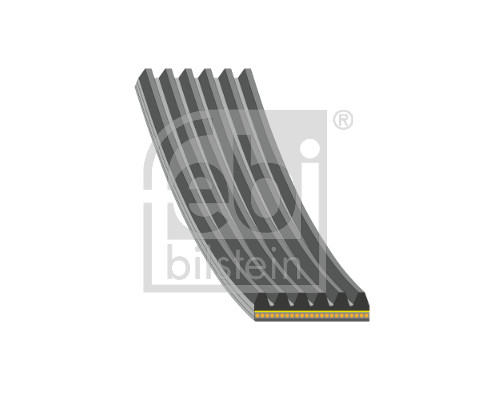 V-Ribbed Belt - 192881 FEBI BILSTEIN