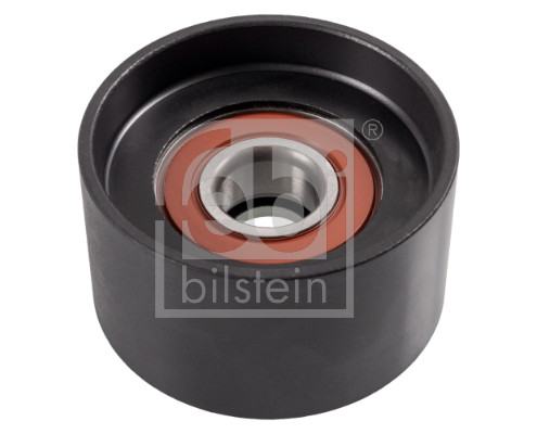 Galoppino/Guidacinghia, Cinghia Poly-V - 27169 FEBI BILSTEIN