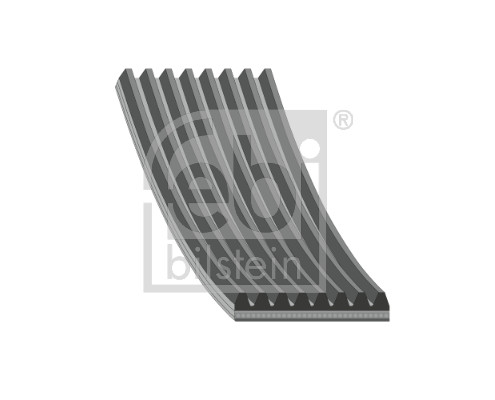 Cinghia Poly-V - 29054 FEBI BILSTEIN
