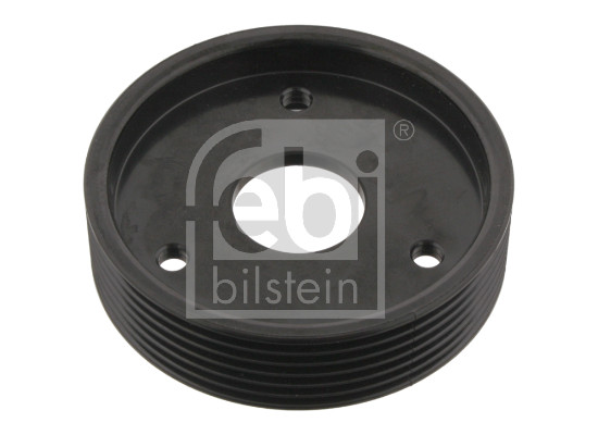 Puleggia, Servopompa - 29501 FEBI BILSTEIN