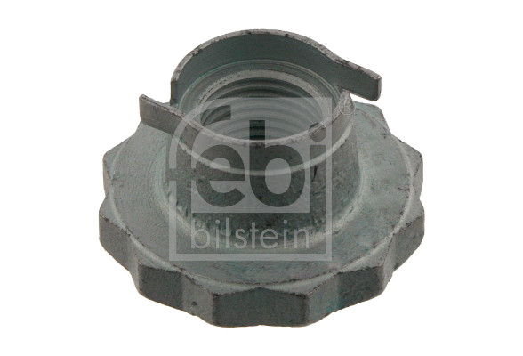 Dado, Fuso dell'asse - 30028 FEBI BILSTEIN