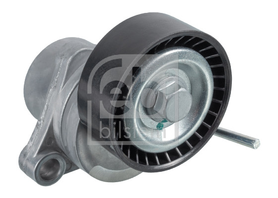 Tendicinghia, Cinghia Poly-V - 31076 FEBI BILSTEIN