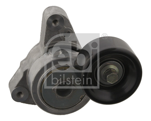Tendicinghia, Cinghia Poly-V - 31255 FEBI BILSTEIN