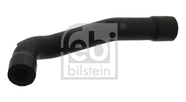 žarna, karterio alsuoklis - 33864 FEBI BILSTEIN
