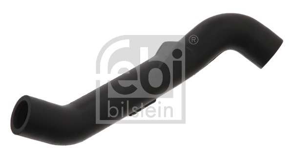 žarna, karterio alsuoklis - 33867 FEBI BILSTEIN