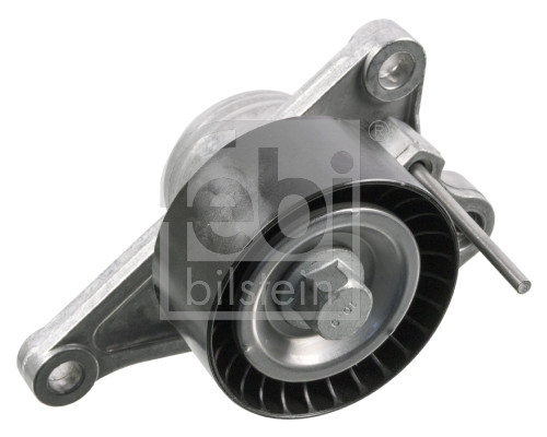 Tendicinghia, Cinghia Poly-V - 36831 FEBI BILSTEIN