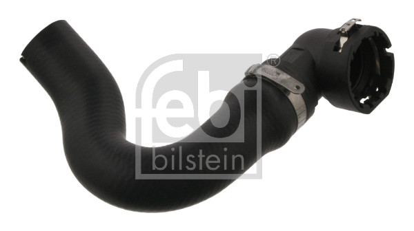 Flessibile radiatore - 37125 FEBI BILSTEIN